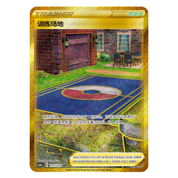 Training Court CS1aC D 217 135 UR