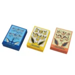 Eevee Series Card Sleeves - Image 2